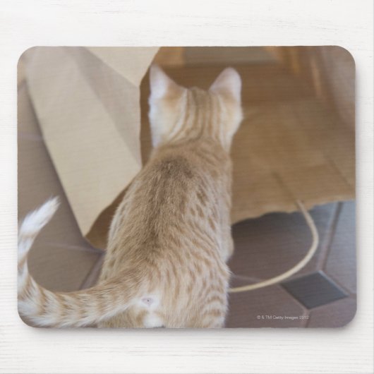 Kitten Blick in den Abgrund einer Tasche Mousepad (Vorne)