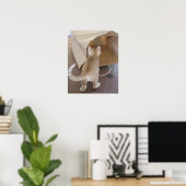 Kitten Blick in den Abgrund einer Tasche Poster (Heimbüro)