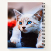 Kitten Blue Mit Augen Adorable Niedlich Cat Notizblock (Rückseite)