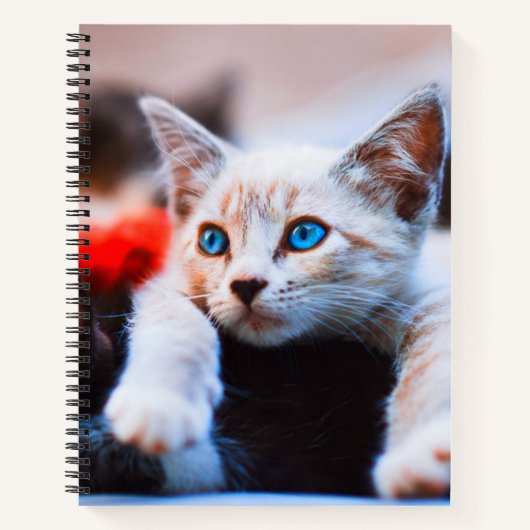 Kitten Blue Mit Augen Adorable Niedlich Cat Notizblock (Vorderseite)