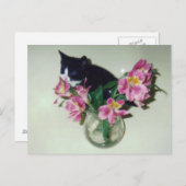 Kitten Blume Vase Postcard Postkarte (Vorne/Hinten)