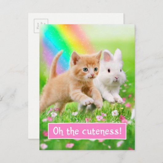 Kitten & Bunny mit Regenbogen Postkarte (Vorne/Hinten)