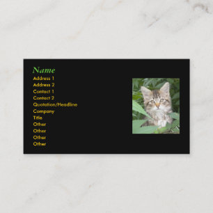 Kitten Business Cards Visitenkarte
