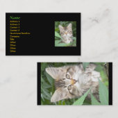 Kitten Business Cards Visitenkarte (Vorne/Hinten)