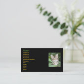 Kitten Business Cards Visitenkarte (Stehend Vorderseite)
