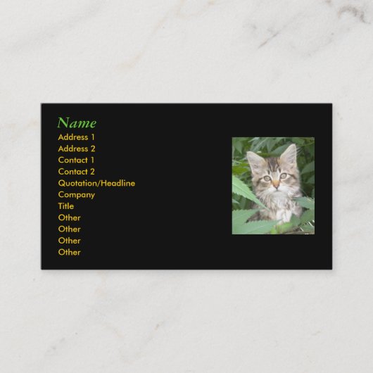 Kitten Business Cards Visitenkarte (Vorderseite)