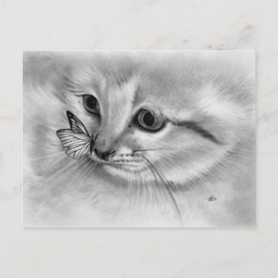 Kitten Butterfly Postcard Postkarte