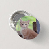 Kitten Button (Vorne & Hinten)