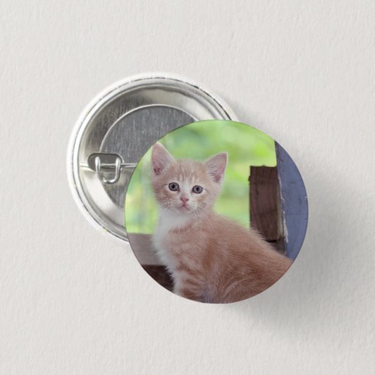 Kitten Button (Vorne & Hinten)