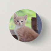 Kitten Button (Vorderseite)