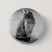 Kitten Button (Vorderseite)