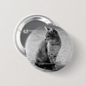 Kitten Button (Vorne & Hinten)