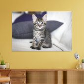 Kitten Canvas Print Picture 10 Leinwanddruck (Insitu (Wohnzimmer))