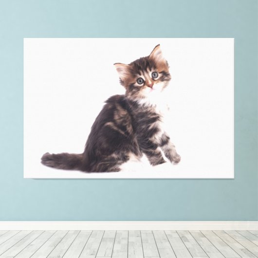 Kitten Canvas Print Picture White Background 13 Leinwanddruck (Insitu (Holzboden))