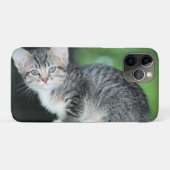 Kitten Case-Mate iPhone Hülle (Rückseite (Horizontal))