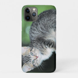 Kitten Case-Mate iPhone Hülle
