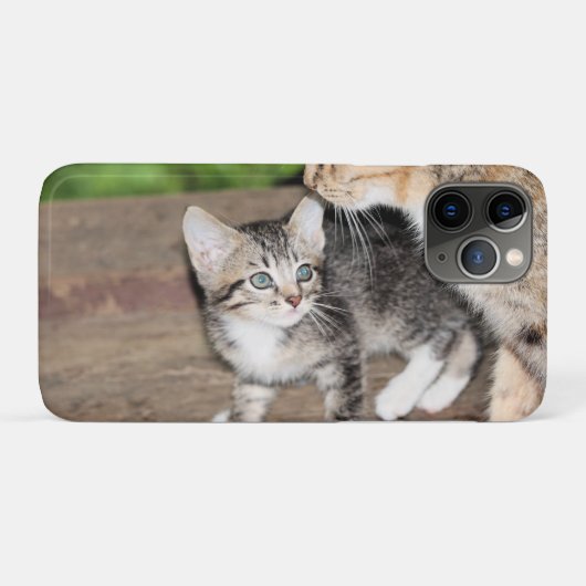 Kitten Case-Mate iPhone Hülle (Rückseite (Horizontal))