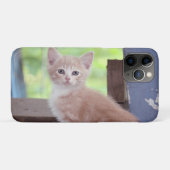 Kitten Case-Mate iPhone Hülle (Rückseite (Horizontal))