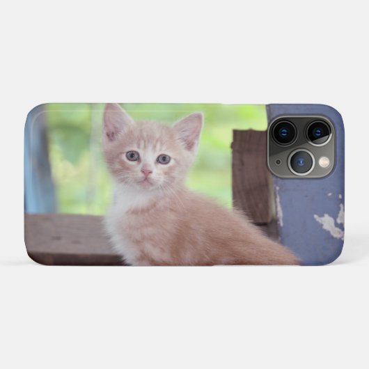 Kitten Case-Mate iPhone Hülle (Rückseite (Horizontal))