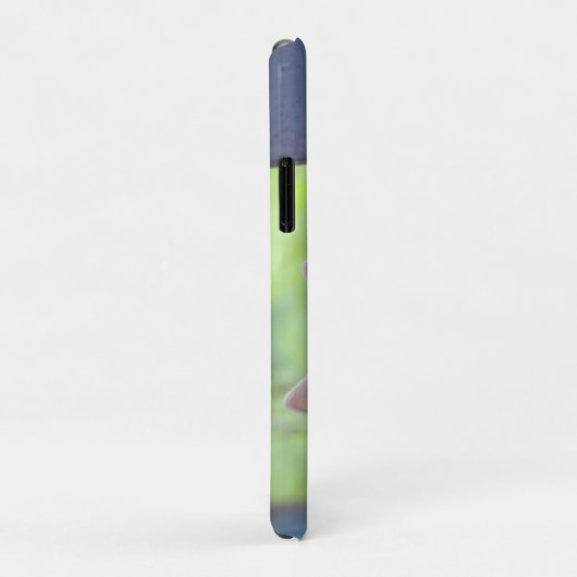 Kitten Case-Mate iPhone Hülle (Hinten/Rechts)