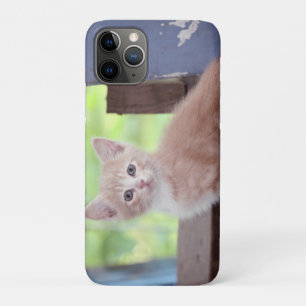 Kitten Case-Mate iPhone Hülle