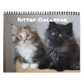 Kitten Cat Cats Baby Cub Zuhause Destiny Destiny's Kalender (Titelbild)