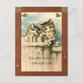 Kitten Cat Daisy Daisies Fence Postkarte (Vorderseite)