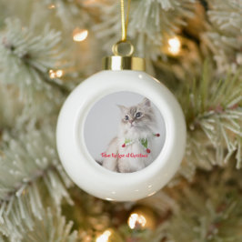 Kitten Cat Foto Typografie Niedlich Chic Keramik Kugel-Ornament