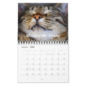 Kitten Cat Lover Photo Collage & Funny Cat Jokes Kalender (Jan 2026)