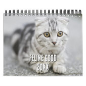Kitten Cat Lover Photo Collage & Funny Cat Jokes Kalender (Titelbild)