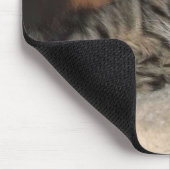 Kitten Chillin' Mouse Pad Mousepad (Ecke)