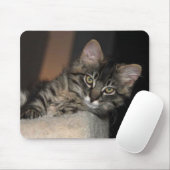 Kitten Chillin' Mouse Pad Mousepad (Mit Mouse)