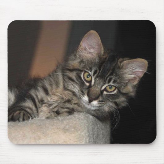 Kitten Chillin' Mouse Pad Mousepad (Vorne)