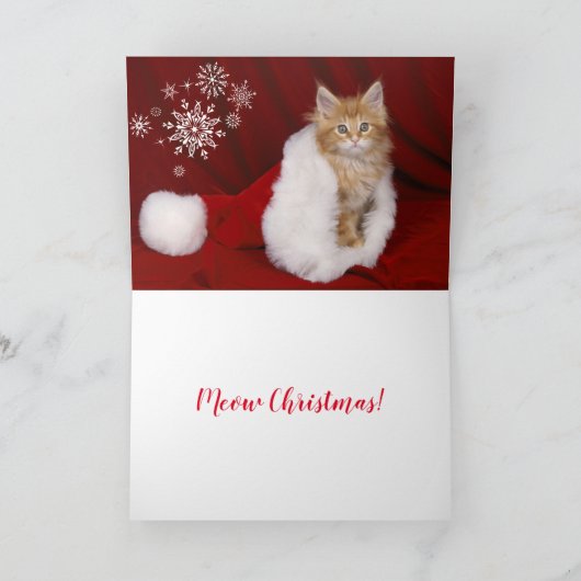 Kitten Christmas Card Feiertagskarte (Innenseite)