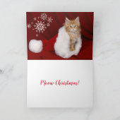Kitten Christmas Card Feiertagskarte (Innenseite)