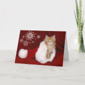 Kitten Christmas Card Feiertagskarte (Vorderseite)