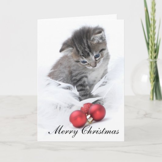 Kitten Christmas Card Feiertagskarte (Vorderseite)