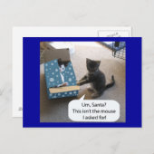 Kitten Christmas Überraschung Postcard Feiertagspostkarte (Vorne/Hinten)