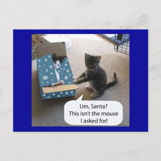 Kitten Christmas Überraschung Postcard Feiertagspostkarte