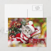 Kitten Christmas Wear Weihnachtsmannmütze Feiertagspostkarte (Vorne/Hinten)