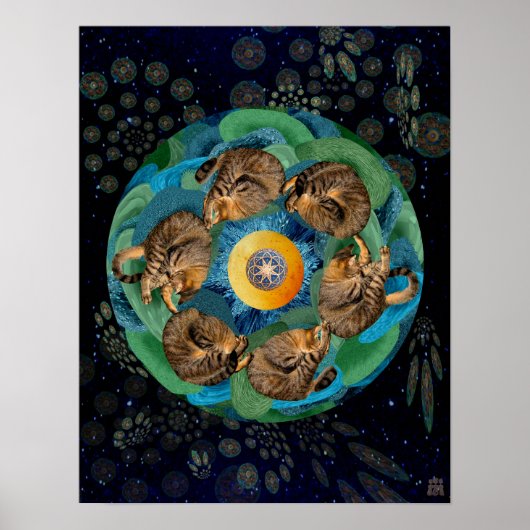 Kitten Cosmos (Felis catus nebula) Poster (Vorne)