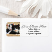 Kitten Couple Rücksendeadresse (Insitu)