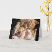Kitten Cuteness Card Karte (Gelbe Blume)