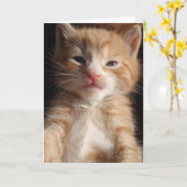 Kitten Cuteness Card Karte (Gelbe Blume)
