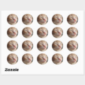 Kitten Cutness Sticker (Blatt)