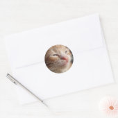 Kitten Cutness Sticker (Umschlag)