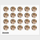 Kitten Cutness Sticker (Blatt)