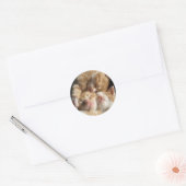 Kitten Cutness Sticker (Umschlag)