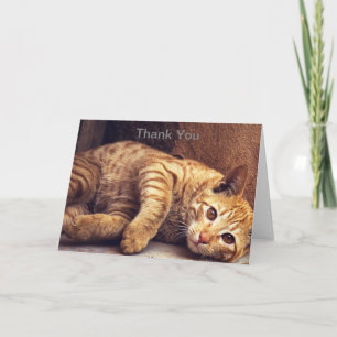Kitten Danke Karte, Cat Dankcard