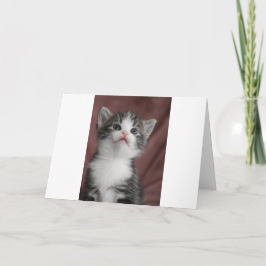 Kitten Dankeskarte (Vorderseite)